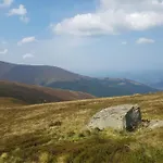 у медовому раю Rostoka (Transcarpathia)