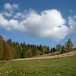 у медовому раю Rostoka (Transcarpathia)