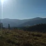 у медовому раю Rostoka (Transcarpathia)