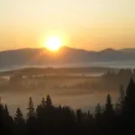 у медовому раю * Rostoka (Transcarpathia)