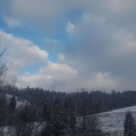 у медовому раю