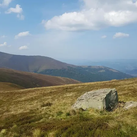 у медовому раю Rostoka (Transcarpathia)