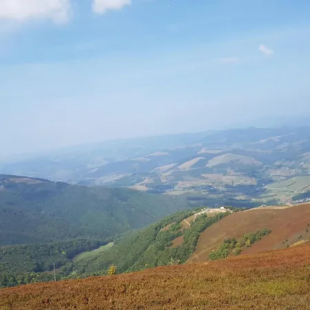 у медовому раю * Rostoka (Transcarpathia)