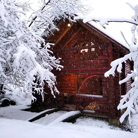 у медовому раю Rostoka (Transcarpathia)