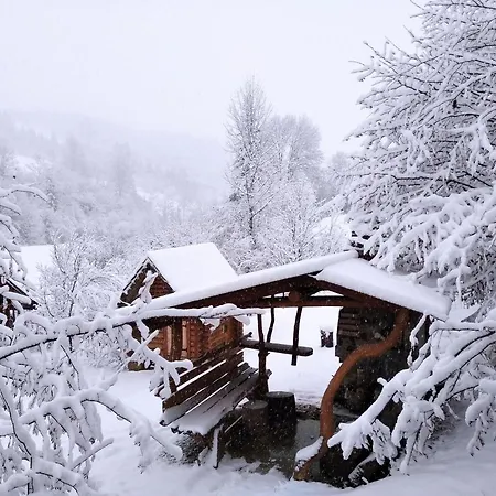 у медовому раю Rostoka (Transcarpathia)