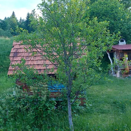 у медовому раю * Rostoka (Transcarpathia)