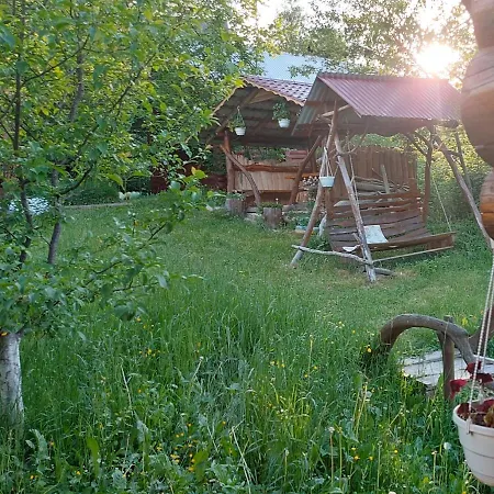 у медовому раю Сasa de vacaciones Rostoka (Transcarpathia)