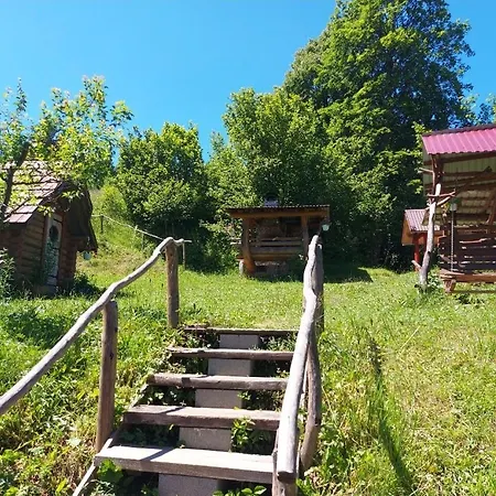 у медовому раю Rostoka (Transcarpathia)