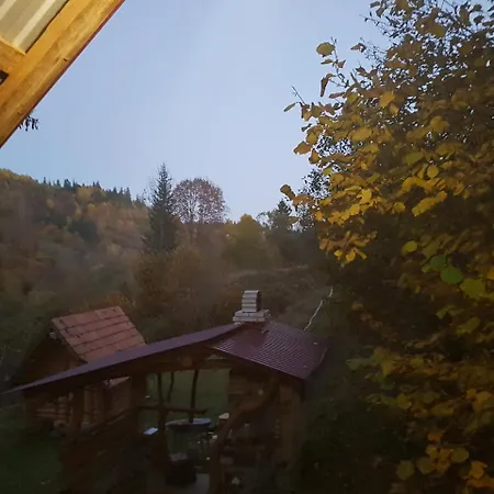 у медовому раю Rostoka (Transcarpathia)