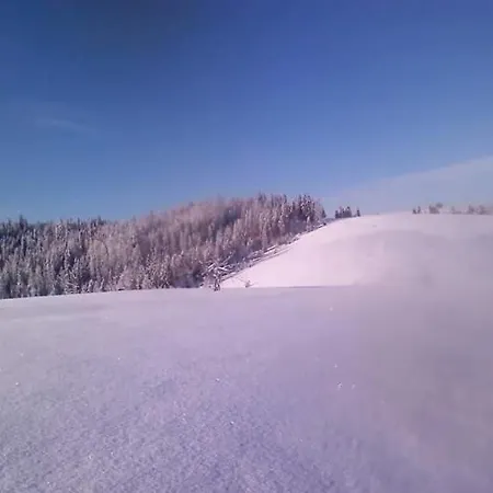 у медовому раю *