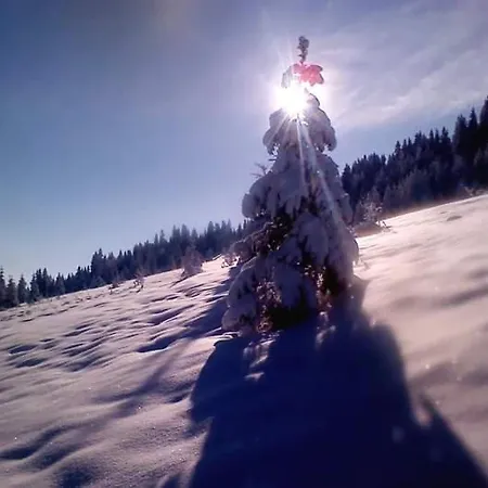 у медовому раю