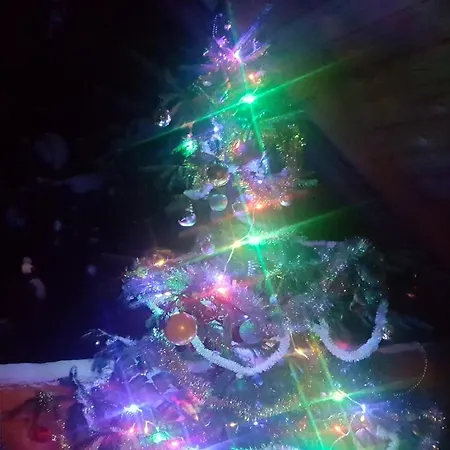 у медовому раю Rostoka (Transcarpathia)