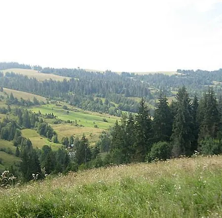 Nyaraló у медовому раю