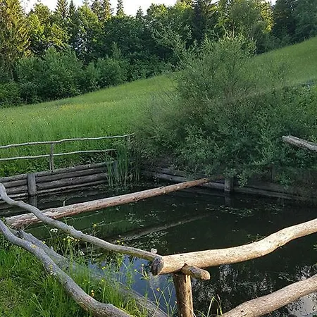 у медовому раю 別荘 Rostoka (Transcarpathia)