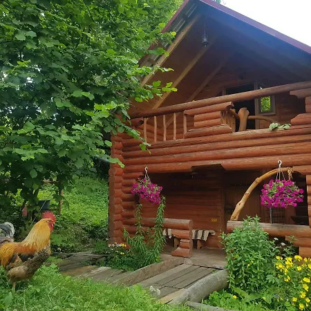 у медовому раю 別荘
