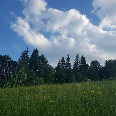 у медовому раю *