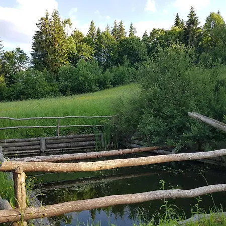 у медовому раю Nyaraló