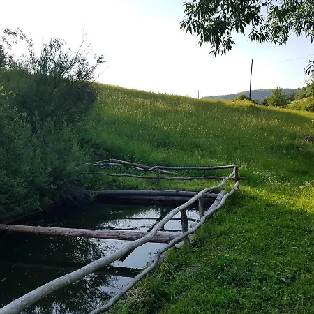 Nyaraló у медовому раю *