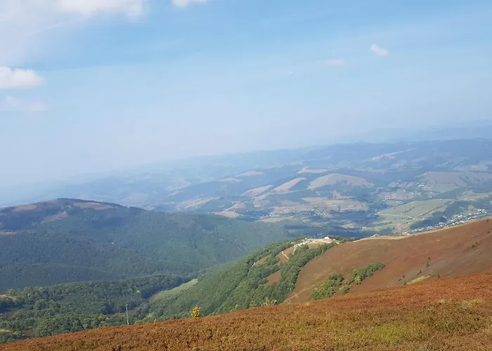 у медовому раю * Rostoka (Transcarpathia)