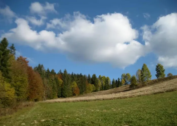 у медовому раю Rostoka (Transcarpathia)