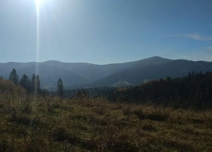 у медовому раю Rostoka (Transcarpathia)