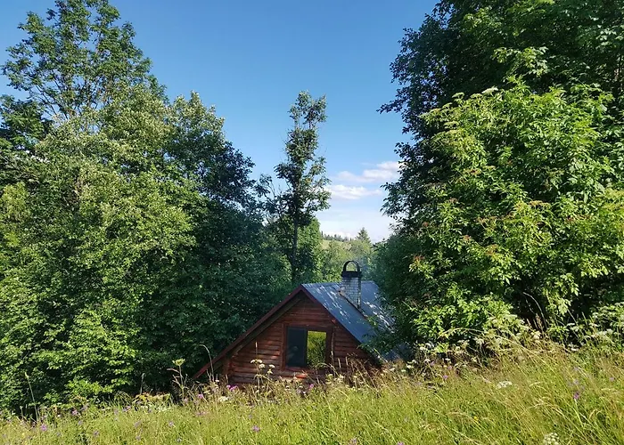 Semesterbostad у медовому раю Rostoka (Transcarpathia)